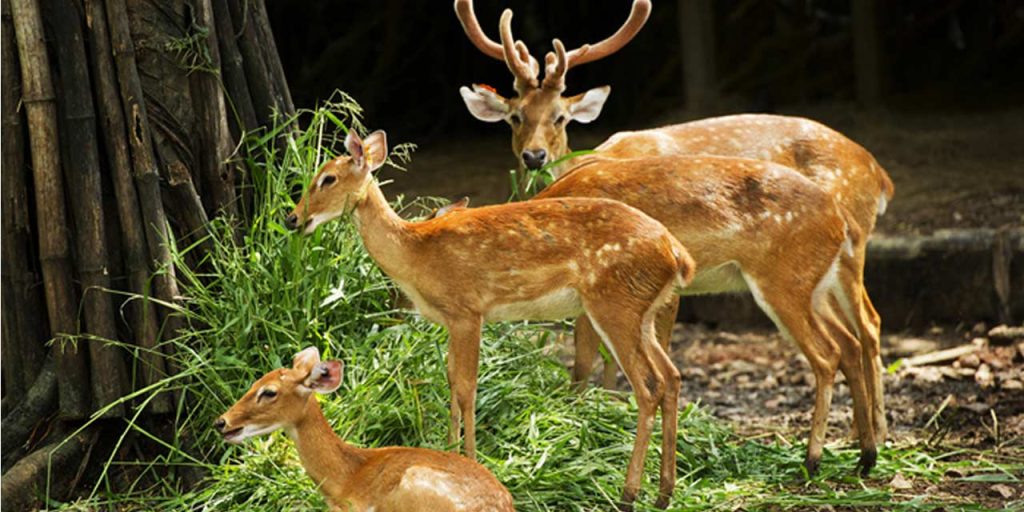 Dehradun Tourist Places
